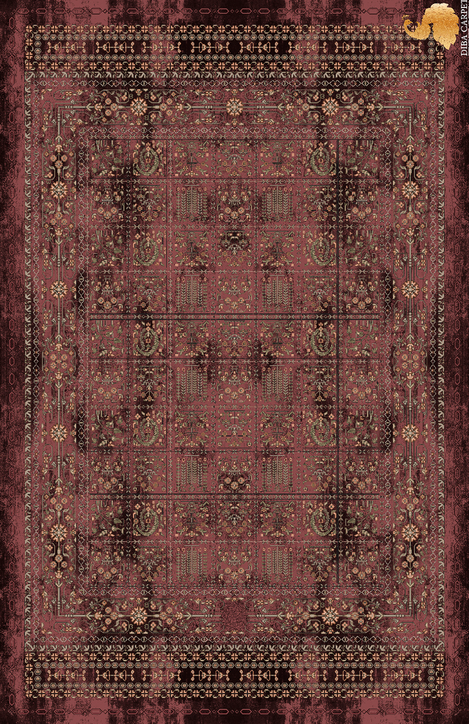 df 80